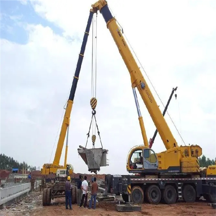 椰林镇小型吊机出租电话|厂房设备吊装方案|24小时服务覆盖